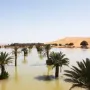 flood_in_morocco.webp