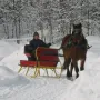 one-horse-open-sled.webp